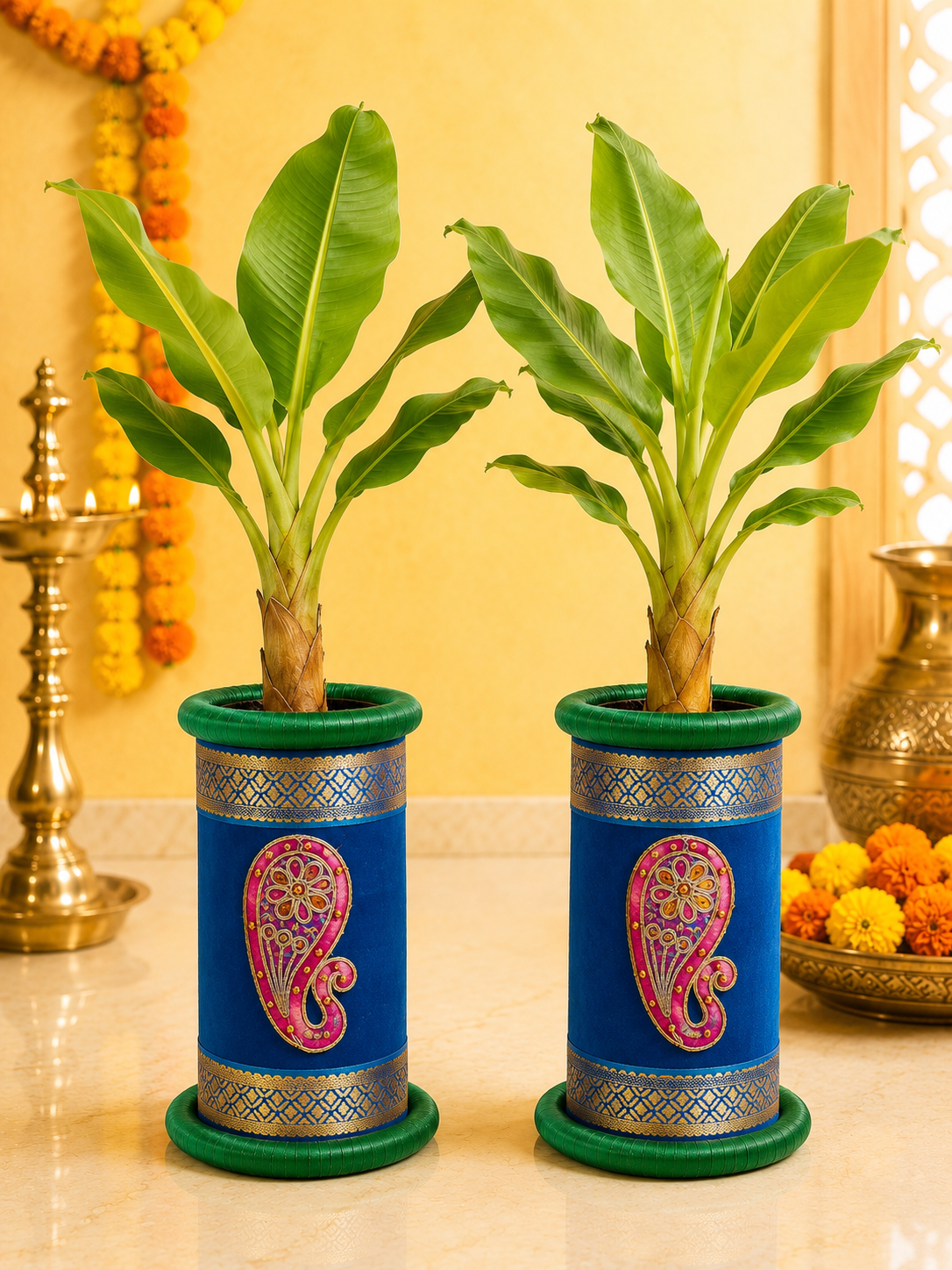 Banana tree stand 